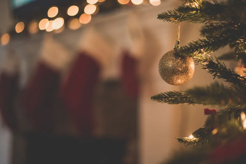 Santa Claus and Mrs. Claus smiling together at a Christmas celebration. Mrs. Claus wears a festive red and green plaid capelet with a coordinating headpiece, standing beside Santa in front of a warmly decorated Christmas tree with glowing lights and holiday ornaments.