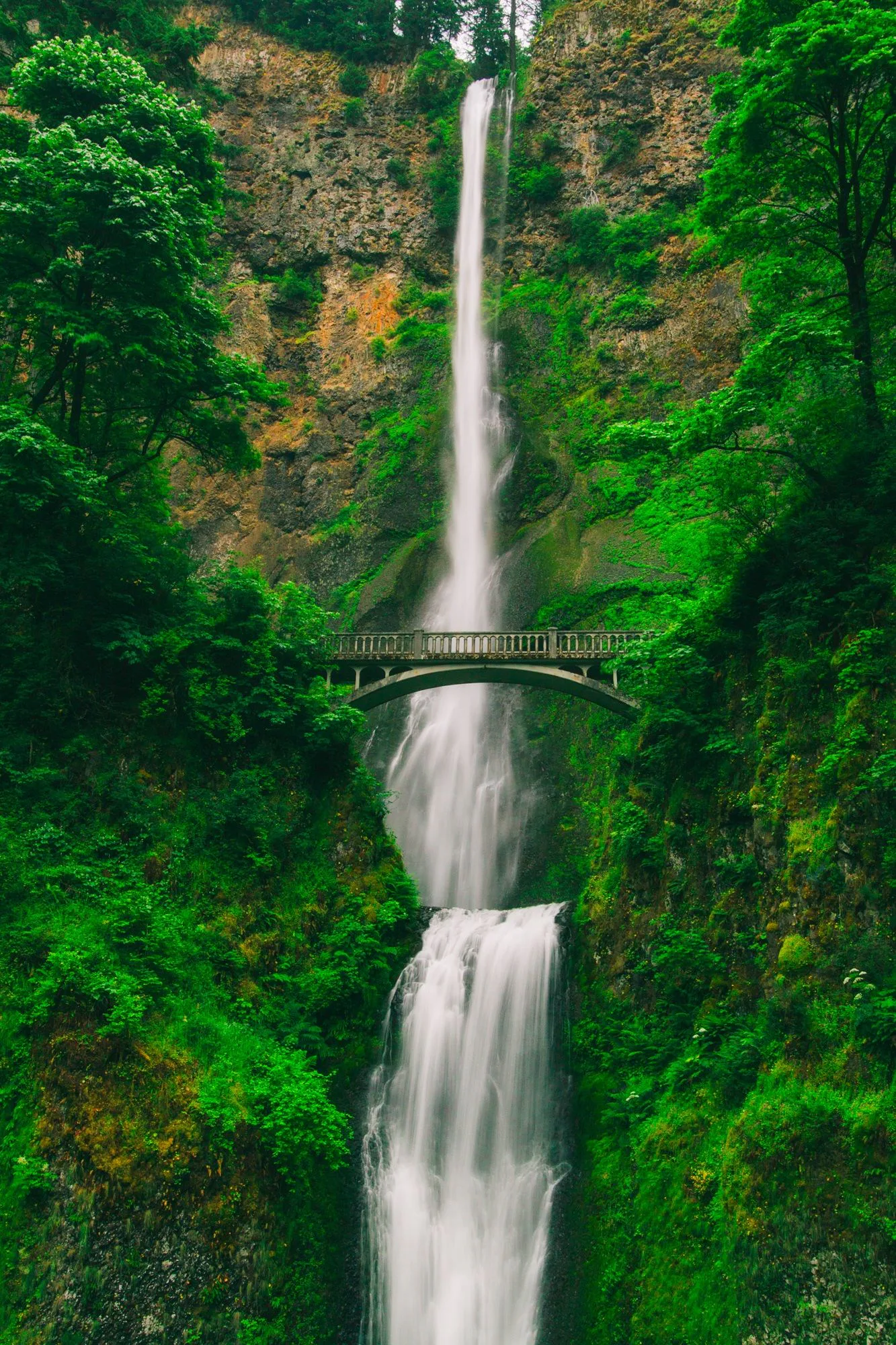 Launchgrid Marketplace domain workbench