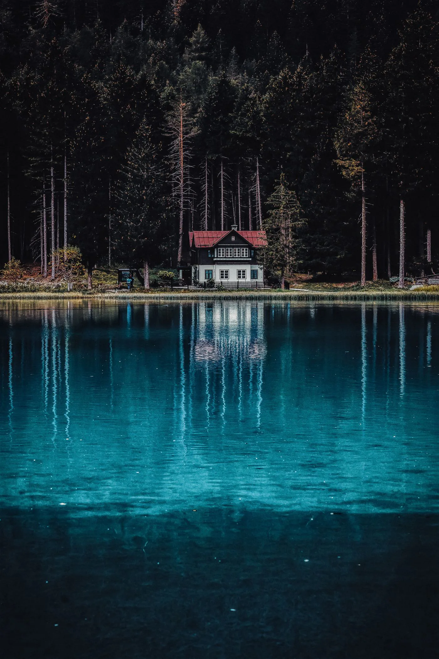 An alpine chalet with a hot tub