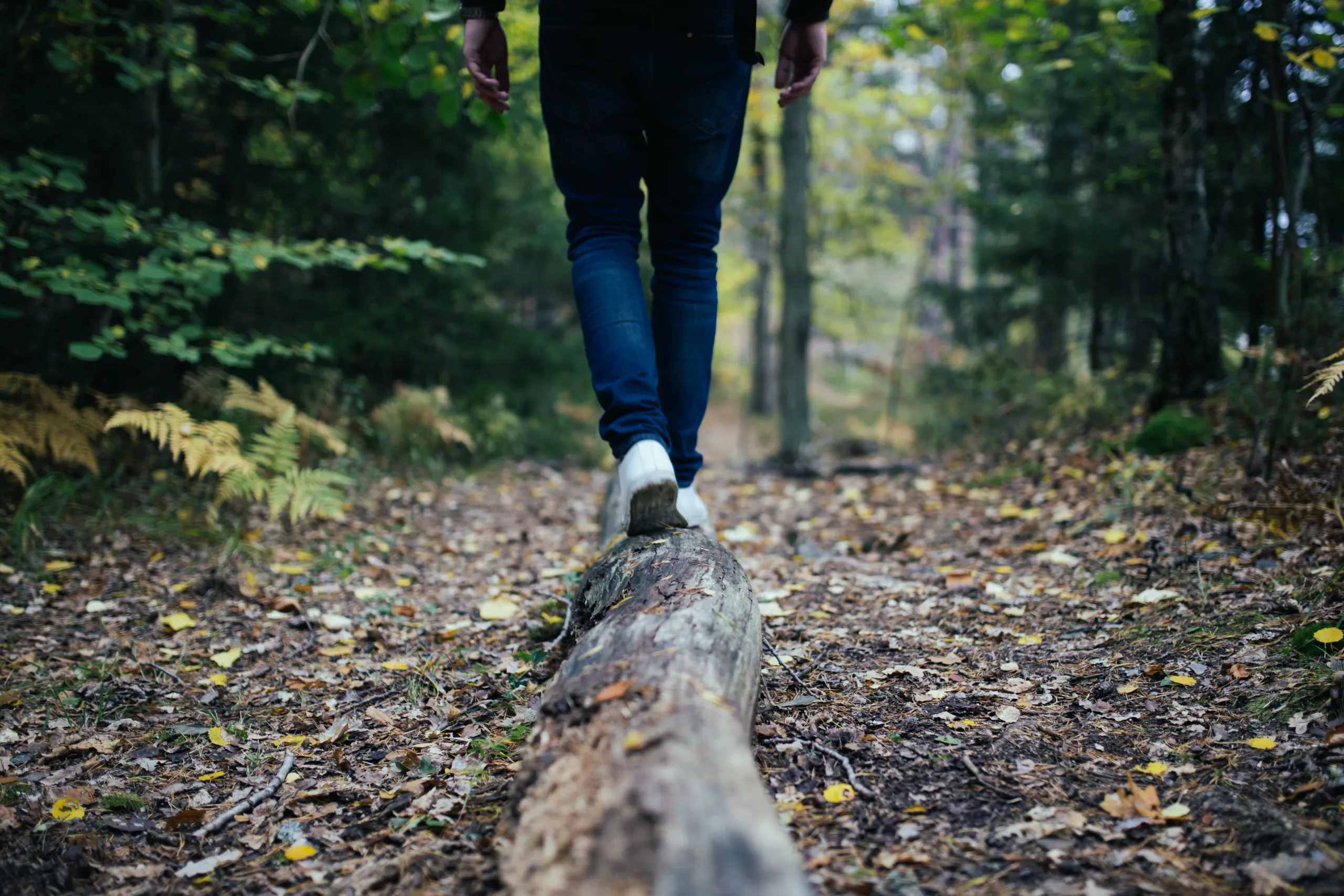 wild temples walk