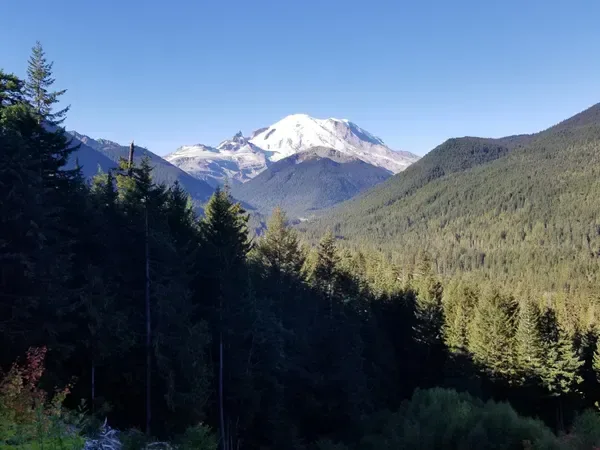 Pierce County - Locations Near Me - Zippy Vend