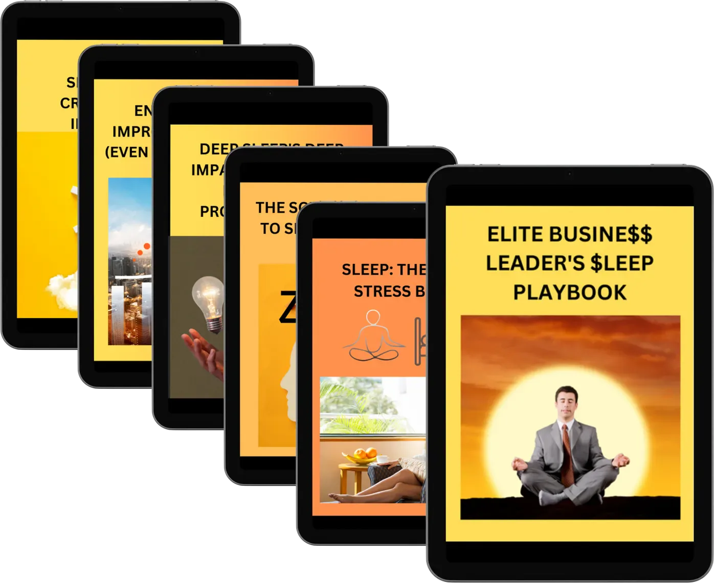 The Elite Business Leader's Sleep Playbook — bonus bundle