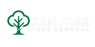 San Jose Tree Removal