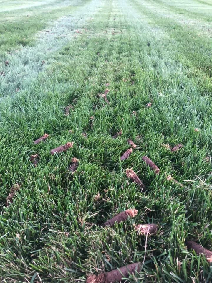 Core Aeration from Fern's Lawn Care