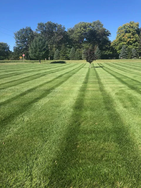 Lawn Mowing & Maintenance from Fern's Lawn Care