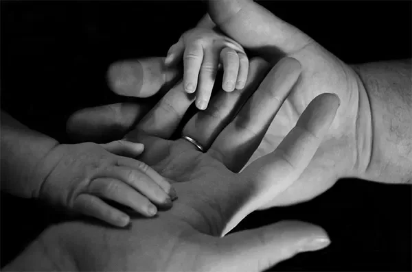 Life Insurance Greenville SC