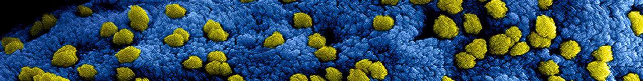 10 Reasons to Use Cubit Clean